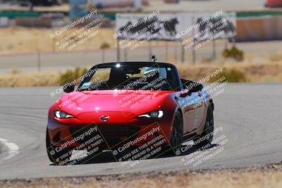 media/Mar-08-2025-Extreme Speed (Sat) [[4abb97269e]]/Blue/Turns 2  and  4 (Session 2)/